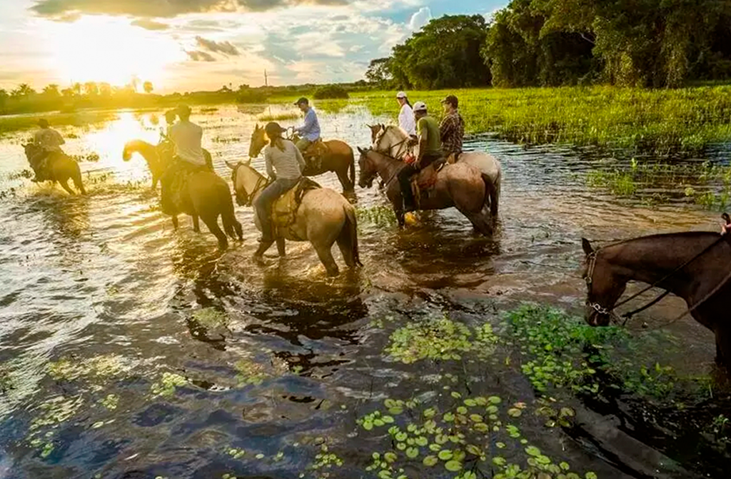 pantanal, safari, onça, jaguar, expedition, birwatching, tour, pantanal safari, jaguar safari, nature tour, pacote, package, destinations, tour