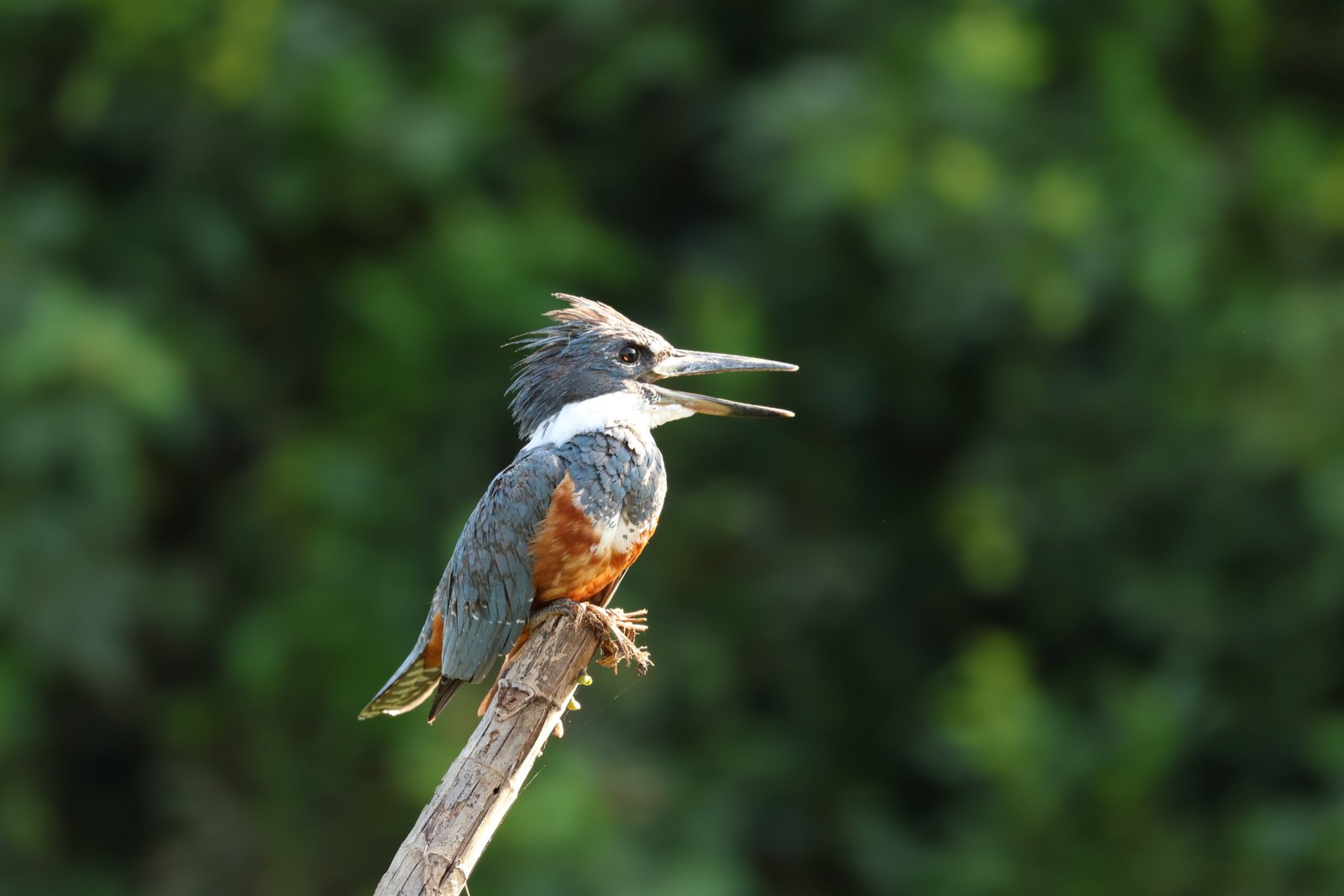 20230915_072710220_iOS (1)